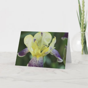 Tarjeta de felicitación de orquídeas raras