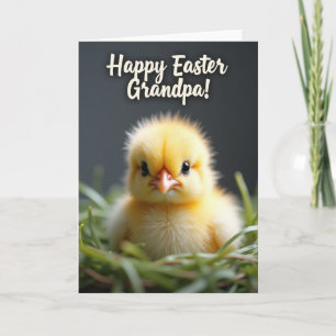 Tarjeta de Felicitación de Pajarito