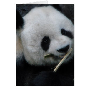 Tarjeta de Felicitación de Panda Adorable