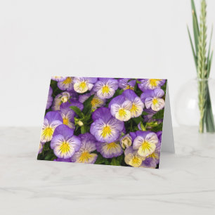 Tarjeta de felicitación de Pansies