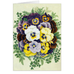 Tarjeta de felicitación de Pansies