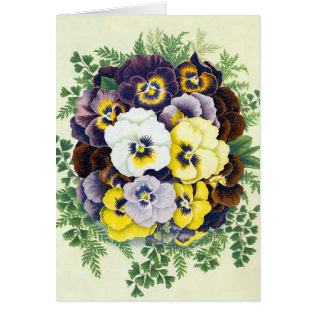 Tarjeta de felicitación de Pansies (Frente)
