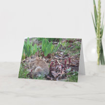 tarjeta de felicitación de Pascua