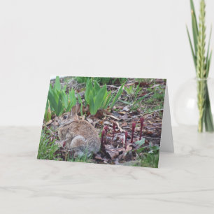 tarjeta de felicitación de Pascua