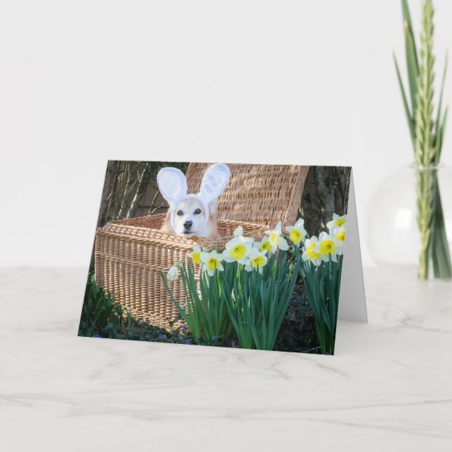Tarjeta de felicitación de Pascua con Corgi en una (Anverso)