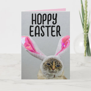 TARJETA DE FELICITACIÓN DE PASCUA DE GATO DIVERTID