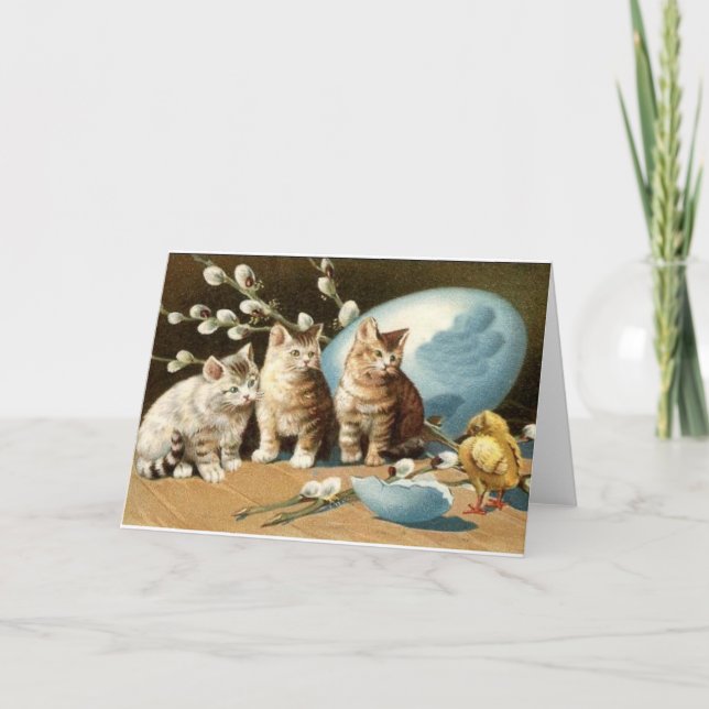 Tarjeta de felicitación de Pascua del gato del (Anverso)
