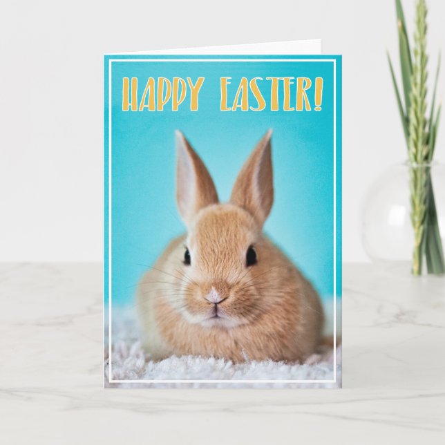 Tarjeta de felicitación de Pascua feliz con coneji (Anverso)
