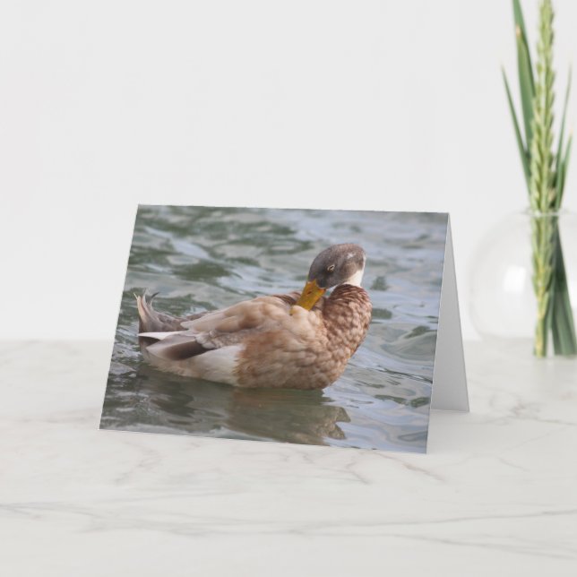 Tarjeta de felicitación de pato (Anverso)
