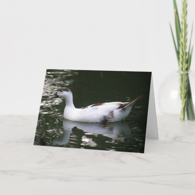 Tarjeta de felicitación de pato con motor (Anverso)