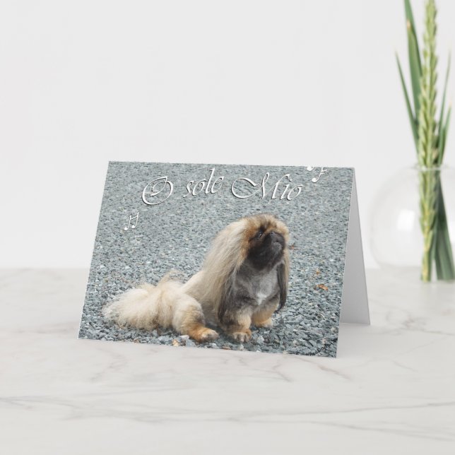 Tarjeta de felicitación de Pekín (Anverso)
