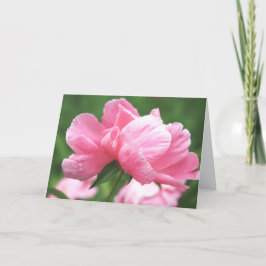 Tarjeta de felicitación de Peonies Rosados