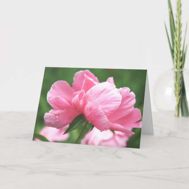 Tarjeta de felicitación de Peonies Rosados (Anverso)