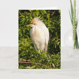 Tarjeta de felicitación de perfil de ganado egret