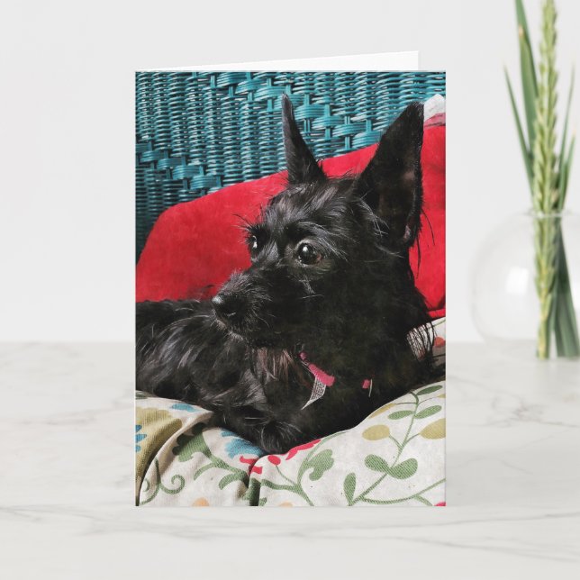 Tarjeta de felicitación de perro dulce (Anverso)