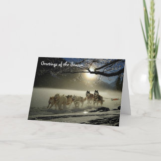 Tarjeta de Felicitación de Perros de Trineo Huskie