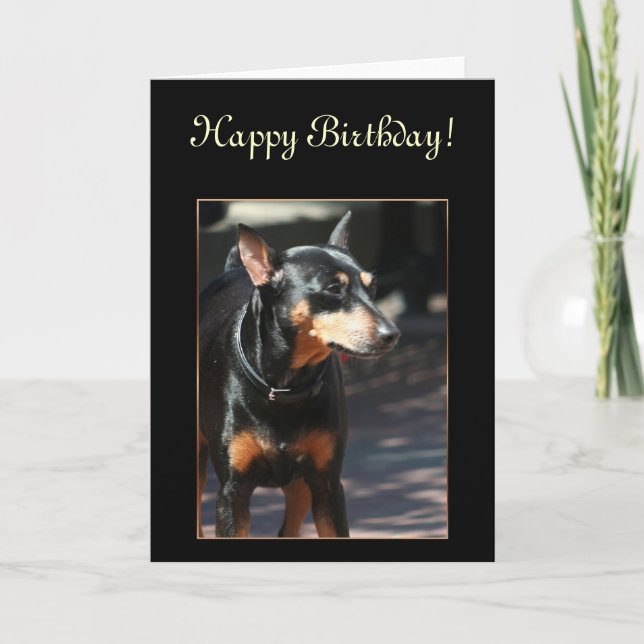 Tarjeta de felicitación de Pinscher en la Miniatur (Anverso)