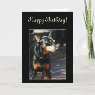 Tarjeta de felicitación de Pinscher en la Miniatur