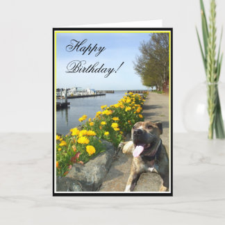 Tarjeta de felicitación de Pitbull del feliz