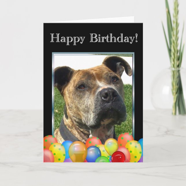 Tarjeta de felicitación de Pitbull del feliz (Anverso)