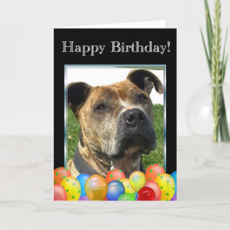 Tarjeta de felicitación de Pitbull del feliz