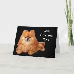 Tarjeta de felicitación de Pomeranian