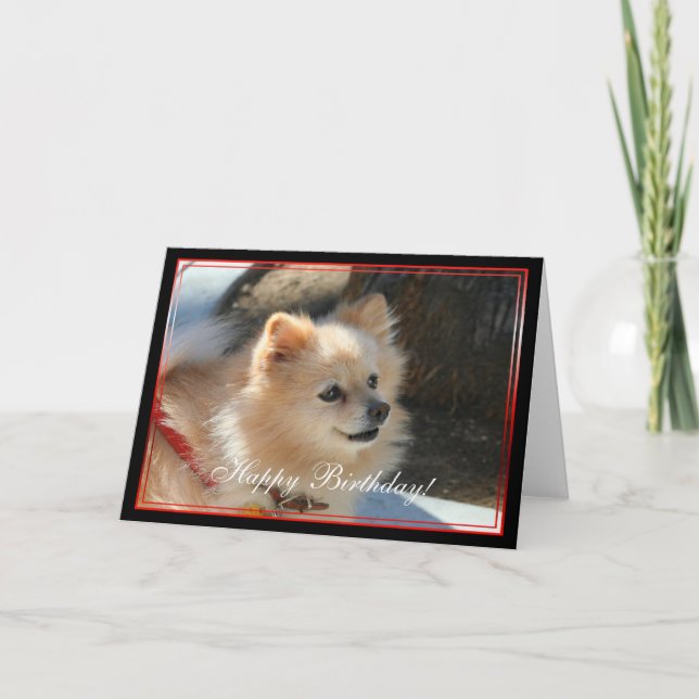 Tarjeta de felicitación de Pomeranian del feliz (Anverso)