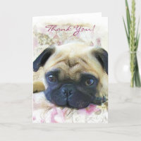 Tarjeta de felicitación de pug de agradecimiento