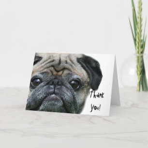 Tarjeta de felicitación de pug de agradecimiento