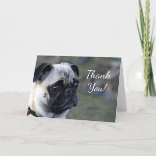 Tarjeta de felicitación de pug de agradecimiento