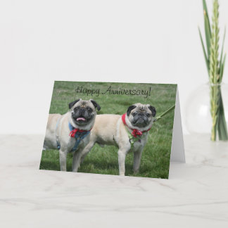 Tarjeta de felicitación de Pug de Aniversario Feli