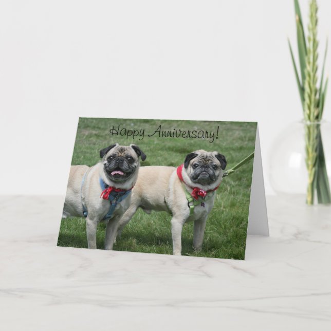 Tarjeta de felicitación de Pug de Aniversario Feli (Anverso)