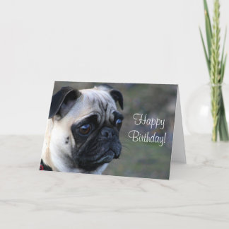 Tarjeta de felicitación de pug de cumpleaños feliz