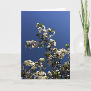 Tarjeta de felicitación de ramas y flores