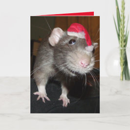 Tarjeta de felicitación de rata a los Navidades ri