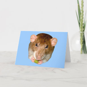 Tarjeta de felicitación de rata hambrienta