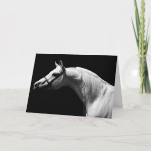 Tarjeta de felicitación de retrato de caballo en b