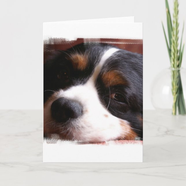 Tarjeta de felicitación de rey Charles Cavalier (Anverso)