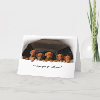 Tarjeta de felicitación de Rhodesian Ridgeback -