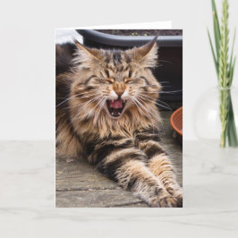 Tarjeta de felicitación de risa del gato