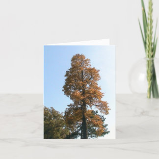 Tarjeta de felicitación de roble Tree