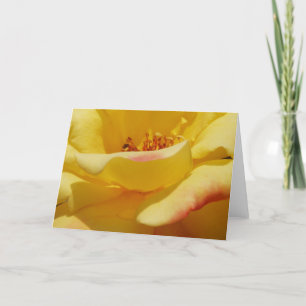 Tarjeta de felicitación de rosa amarillo