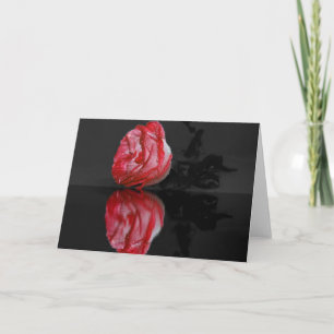 Tarjeta de felicitación de rosa en agua