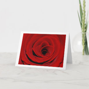 Tarjeta de felicitación de rosa roja