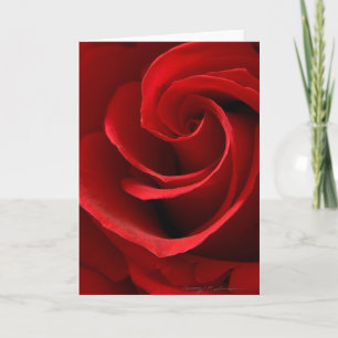 Tarjeta de Felicitación de Rosa Roja