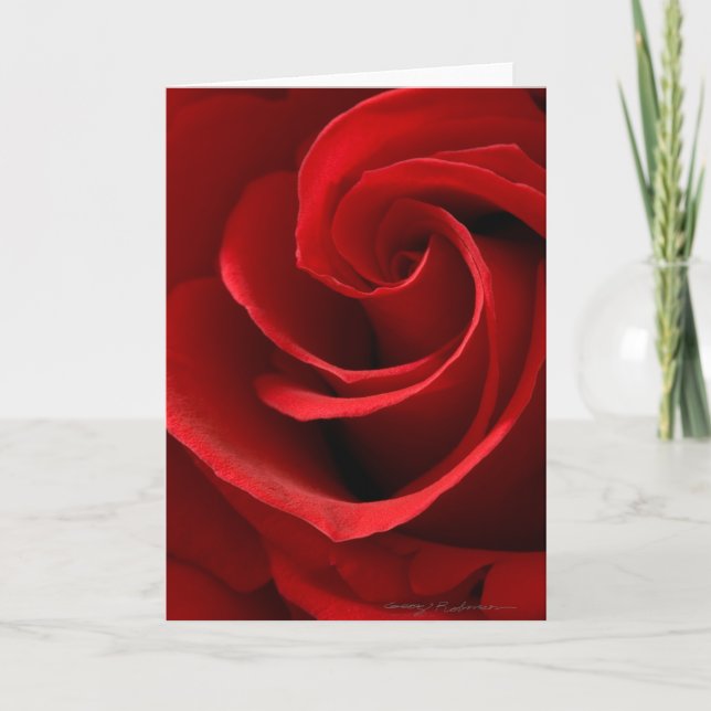 Tarjeta de Felicitación de Rosa Roja (Anverso)