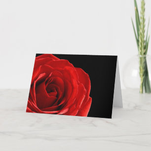 Tarjeta de felicitación de rosa rojo en blanco ele