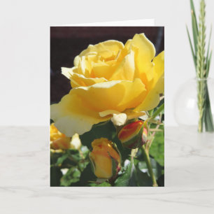 Tarjeta de felicitación de rosas amarillas