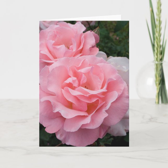 Tarjeta de felicitación de rosas rosadas (Anverso)