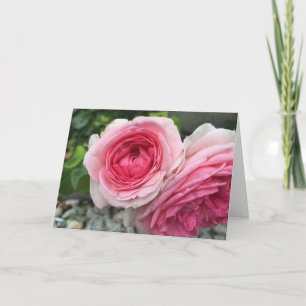 Tarjeta de felicitación de ROSAS Rosadas